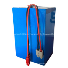 High Capacity 48V/50ah Ncm for Vehicle Car Lithium Ion Battery